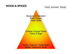 Montale Paris Wood &amp; Spices