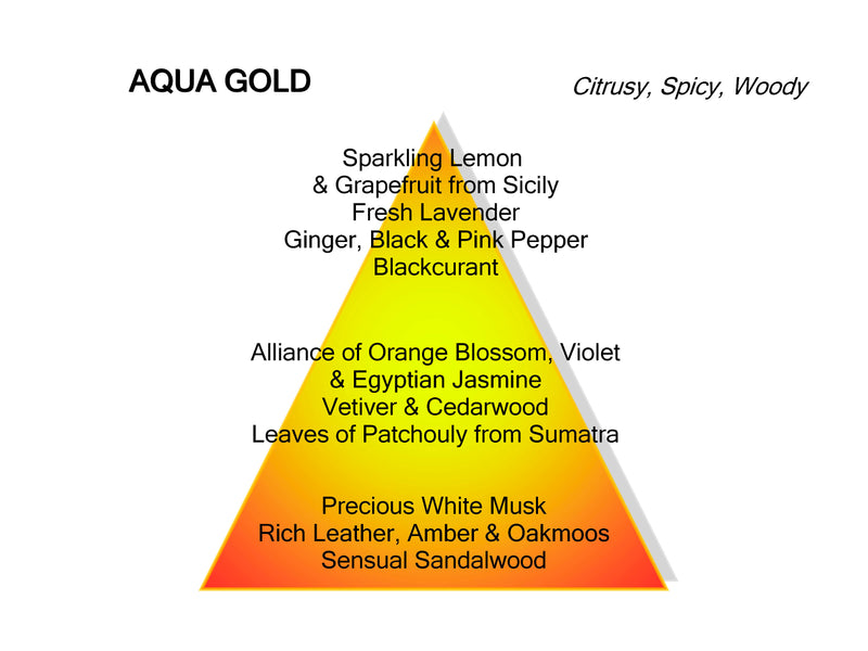 Montale Paris Aqua gold