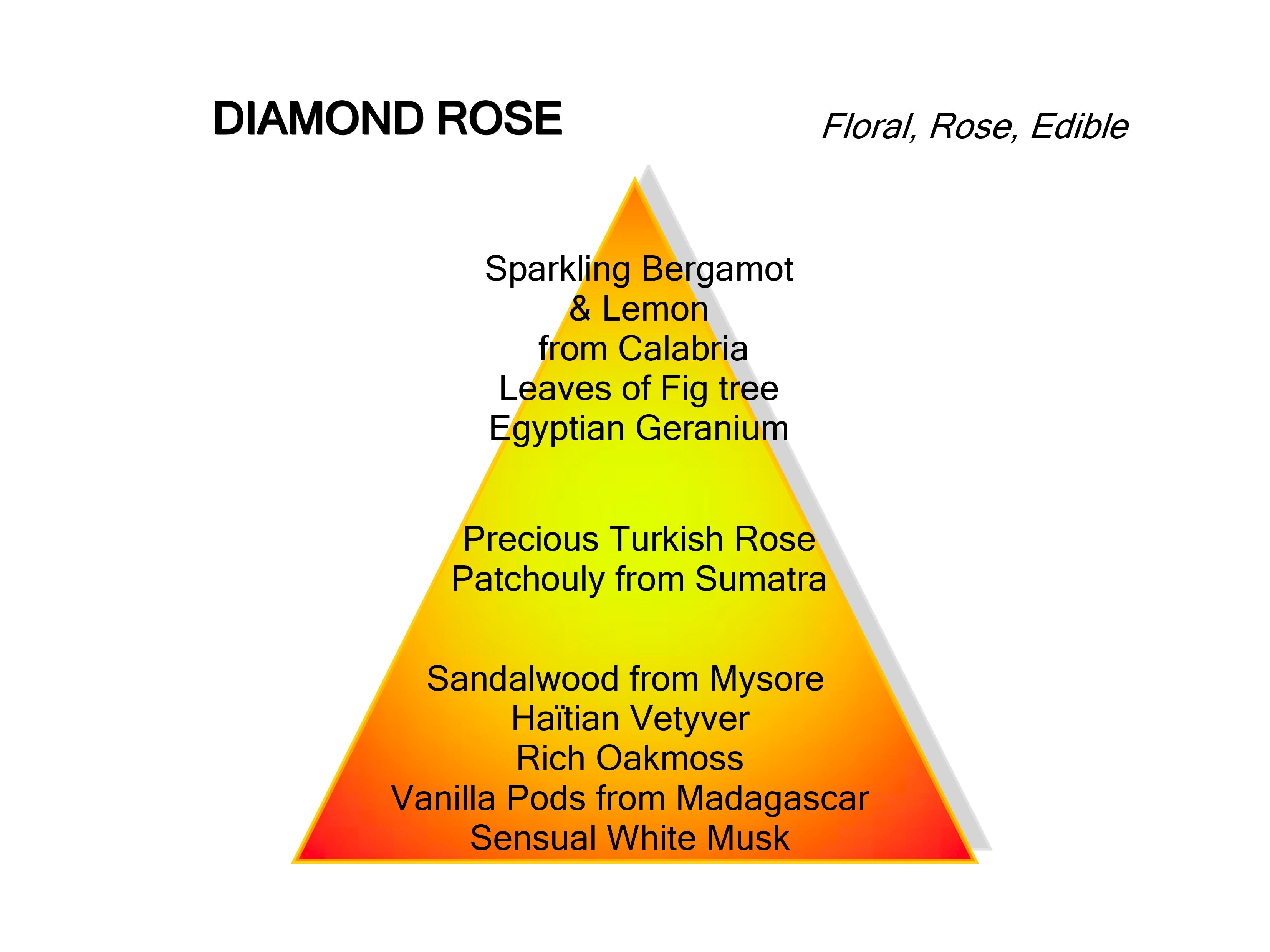 Montale Paris Diamond rose