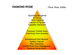 Montale Paris Diamond rose